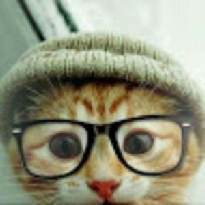 Meet your Posher, Natasha